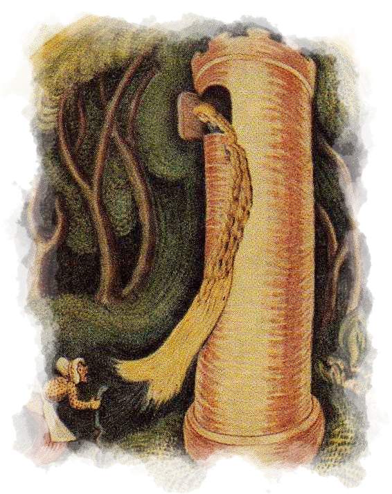 La bruja escala por el pelo de Rapunzel